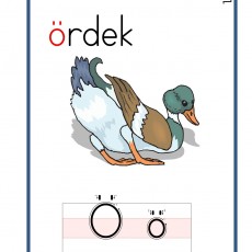 Ö SESİ  (14).jpg