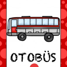 OTOBÜS - Ulaşım Araçları Eğitimi