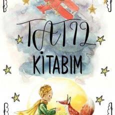 TATLI 12 KİTABIM - Küçük Prens ve Tilki İlişkisi