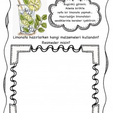 Nefis Limonata Hazırlama Rehberi: Malzemeler ve Tarifi
