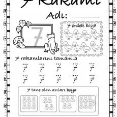 7 Sayısı ve Renkli Aktiviteler - Eğitim Materyali