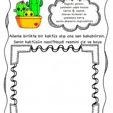 Eğlenceli Kaktüs Eğitimi ve Yaratıcılık Aktivitesi