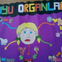 ilgi köşesi, duvar süsü,sanat etkinliği  (265)