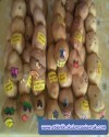 Kuklarlar ve dolgu oyuncaklar  (106)