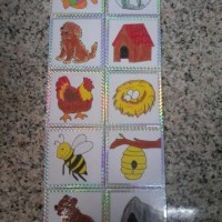 egitici oyunlar kağit işleri ,eşleştırme kavramları (435)