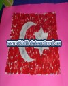 ulu önder atatürk (10)