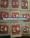 ulu önder atatürk (43)