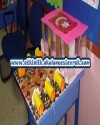 ulu önder atatürk (9)