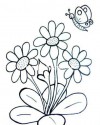 Çiçekler  (63)