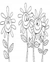 Çiçekler  (68)