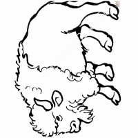 çocuklar-için-hayvan-Bufalo-boyama-sayfası-7