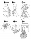 grip (10)
