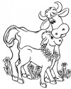 hayvanlar ve yavruları (18)