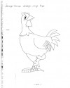 horoz resmi