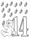 14 sayı çalişması