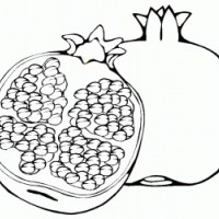 762349-nar-boyama-1