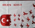 15 temmuz demokrası şehitleri (21)