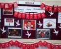 15 temmuz demokrası şehitleri (35)