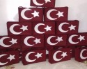 çanakkale zaferi (13)