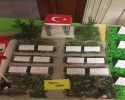 çanakkale zaferi (16)