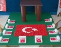 çanakkale zaferi (19)