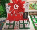 çanakkale zaferi (27)