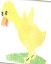 hayvan
