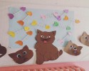 kedi