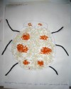 Örümcek