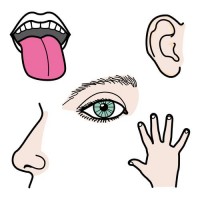artık materyal ,okuma yazma çalişması ,kağit işleri,sulu boya çalişması (720)