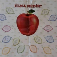 artık materyal,atatürk ,kağit işleri,aşure haftası,mevsımler,yüz ifadesi (717)