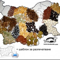 kagit işleri ,artık materyal ,sınıf süsü(1267)