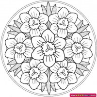 mandala çalişması kağit işleri,sınıf süslemesi fen etkinlikleri yesilay haftası (198)