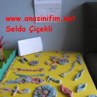 mandala çalişması kağit işleri,sınıf süslemesi fen etkinlikleri yesilay haftası (23)