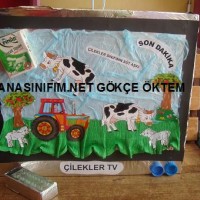 mandala çalişması kağit işleri,sınıf süslemesi fen etkinlikleri yesilay haftası (24)