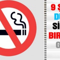 mandala çalişması kağit işleri,sınıf süslemesi fen etkinlikleri yesilay haftası (69)
