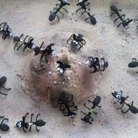 okul öncesınde kağit işler, duvar süsü ,davetiye kartları ,suluboya  çalişması (4489)