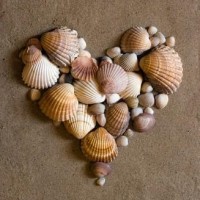 sanat etkınlıklerı (105)