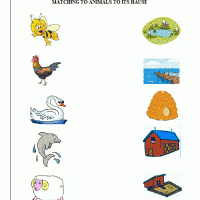 Artık Materyaller,Proje Çalişması, Sınıf Süsleme ,Kapı Süsü, Sayı Birleştirme,Arı Çalişması ,Balık ,Kuş ,Baykuş,Maymun ,Kurbağa Çalişması(1374)
