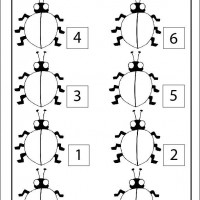 Artık Materyaller,Proje Çalişması, Sınıf Süsleme ,Kapı Süsü, Sayı Birleştirme,Arı Çalişması ,Balık ,Kuş ,Baykuş,Maymun ,Kurbağa Çalişması(1748)