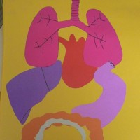 okul öncesinde sanat etkınliği ve boyama çalışması (583)