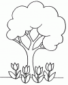 1 (80)