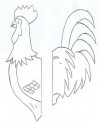 Karışık Kalıp (5)