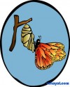 keleebek544